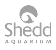 client-logo-shedd-aquarium